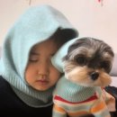 핫템 바라클라바 후드넥 워머