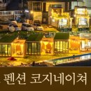 코지네이쳐 이미지