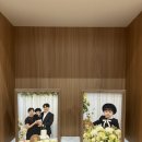 빈티지엘 | [대구/경북] 돌잔치 스냅 ‘하이노엘’ 촬영후기 + 다뮤르 기프트세트 강추!!