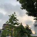 7월 기록, 시현하다