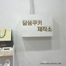 수원 성균관대역 주문 제작 도시락 케이크 맛집 달쏭쿠키제작소