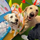 여기오개 이미지