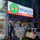 일품 | 여수 현지인 미평동 선어 맛집 횟집 일품선어회 후기 삼치회 전남대 맛집