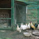 수명농장 이미지