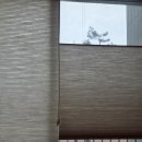 저먼오토 | 용인 수지구 상현동 아파트 커튼 블라인드 추천(심곡마을 힐스테이트 설치 후기)