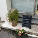 오마이초콜릿파이 이미지