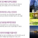 춘천미래웰빙