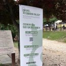 용인종합운동장(놀이터쪽) | [용인] 넓은 애견운동장 테일45 내돈내산 방문 후기