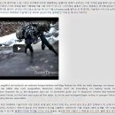 Big Dog(빅독) 이미지