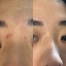 스파닉
