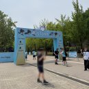 런(RUN) - 원주시 | [후기] 블루 아카이브 KIVOTOS RUN! 키보토스 런 2026 행사 참가 후기
