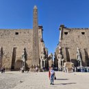 염소왕국 | [이집트] 룩소르 투어 후기 열기구+동안 서안 신전 프라이빗 가이드 추천