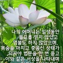 종교신앙이 없는 자가 조념을 통해 왕생하다 이미지