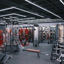Y.GYM 이미지