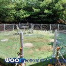 카페시소 이미지