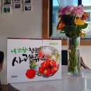 내고향사과쥬스 이미지