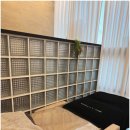 에그뮤즈 스킨스칼프 이미지