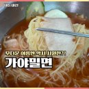 충주교현동맛집 가야밀면 메뉴 후기