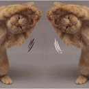 참마취통증의학과의원 이미지