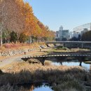 크리스마스 파우치 | 2025 스타벅스 크리스마스 딜라이트 MD 실물후기 베어리스타파우치이벤트 &amp; 뱅쇼