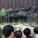 즐거운매일 | 서울대공원 동물원, 아이랑 즐거운 나들이 후기
