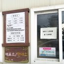 정선목장 | 정선 여행코스 추천 정선양떼목장 캠핑 차박