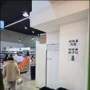 치유약국 - 강남구 논현로 824 | 치유약국