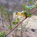 장척농장 이미지