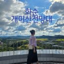 화순천 | 광주 근교 화순 가볼만한곳 개미산전망대 힐링 여행 카페 후기