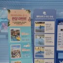 컴퓨터 왕초보 A반 | 시흥 거북섬 아이와 가볼만한 곳 인공 서핑장 왕초보강습 후기, 웨이브파크