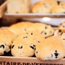 갸또마마 이미지