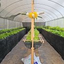 알찬유정란농장 이미지