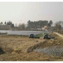 삼일기술단