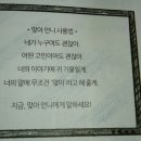 맞아 언니 상담소 이미지