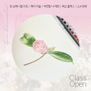 기초 보태니컬아트 기법 | [공지] [ 분당서현판교 | 린보태니컬아트 | 성인취미 ] 2025 하반기 색연필・수채화 수강생 모집