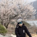 앙갤러리 카페 이미지