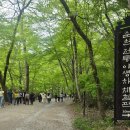 길성주유소 네이버블로그