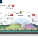 팜솔루션 이미지