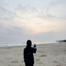 강릉독채풀빌라보늬펜션 이미지