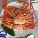 [강원 속초] 청호동 홍게, 승진호홍게 무한리필