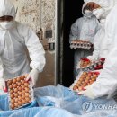 박지호농장 이미지