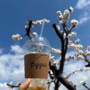 이섭대천로 1380번길 1 | 이천 바이야드 카페 후기 깔끔한 인테리어 아메리카노 맛집