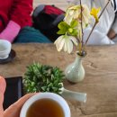 대웅목장2 | 당일 국내 기차여행 갈만한곳 팔도장터관광열차 타고 선운사 템플스테이 외 2