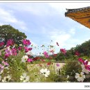 왕산사 - 포천군 | 왕산사