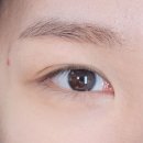 더슈룸 | 화곡속눈썹 전문 <더슈가링> 섬세하고 편안한 관리 후기