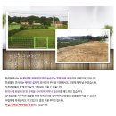 파주독애견호텔 이미지