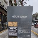 석성동헌 탱자나무 | 공주(공산성) - 석성면(석성초교) 홀로 걷기