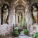 비발디 향기나무 이미지