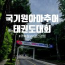 열린태권도 | 국기원 아마추어 태권도대회 후기ㅣ아이 첫 태권도대회·메달보다 값진 경험ㅣ국기원 주차정보