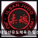 용인대일산유도체육관 - 고양시 일산동구 숲속마을1로 71 | 용인대일산유도체육관